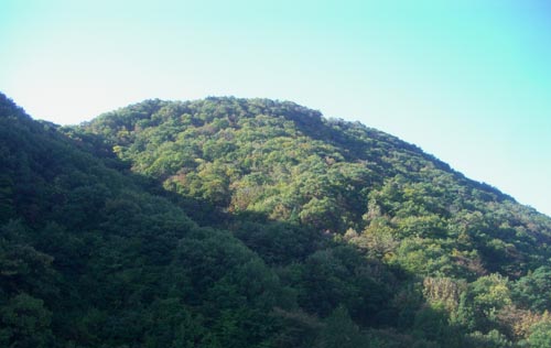 b0099994_10355969.jpg
