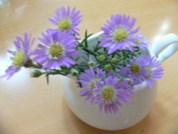e0160494_1911771.jpg