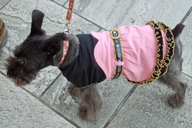 c0138198_13105758.jpg