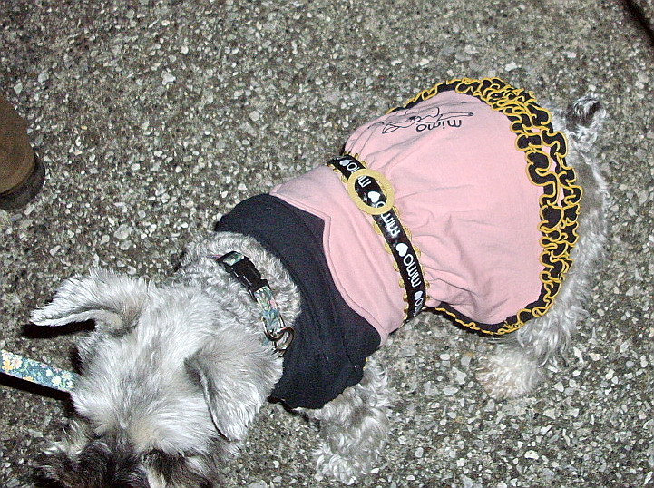 c0138198_13141263.jpg