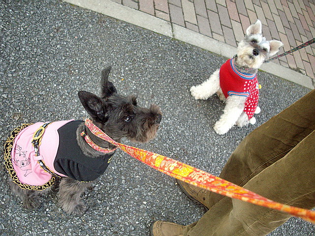 c0138198_14223100.jpg