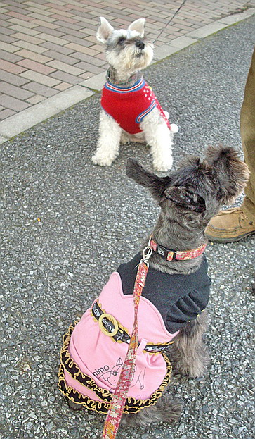 c0138198_1434057.jpg