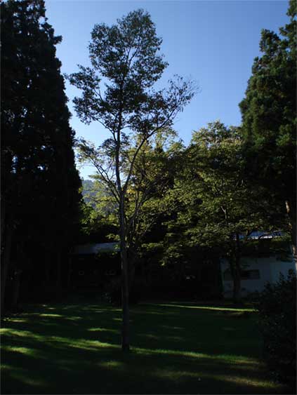 a0061599_8424655.jpg