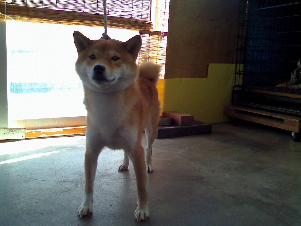 a0133999_21443488.jpg