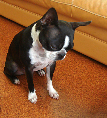 c0094999_12494727.jpg