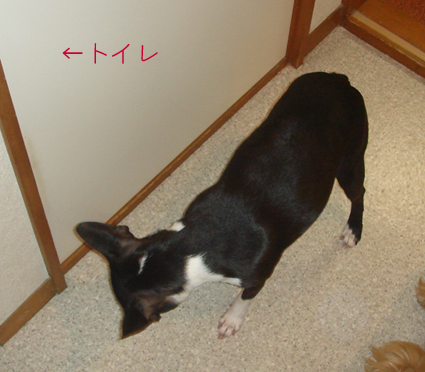 c0094999_1258087.jpg