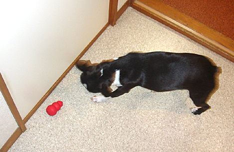 c0094999_1364121.jpg