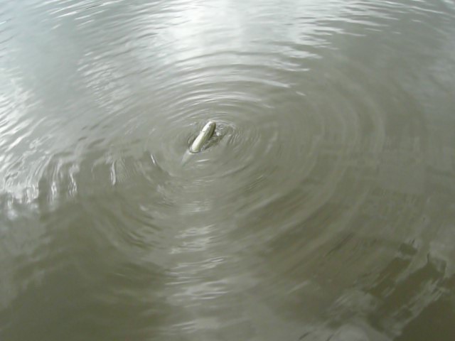 d0126708_18555419.jpg