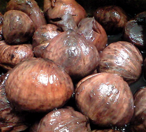 f0135908_19554542.jpg