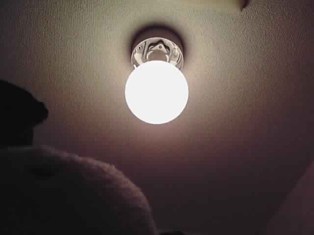 c0067610_0155856.jpg