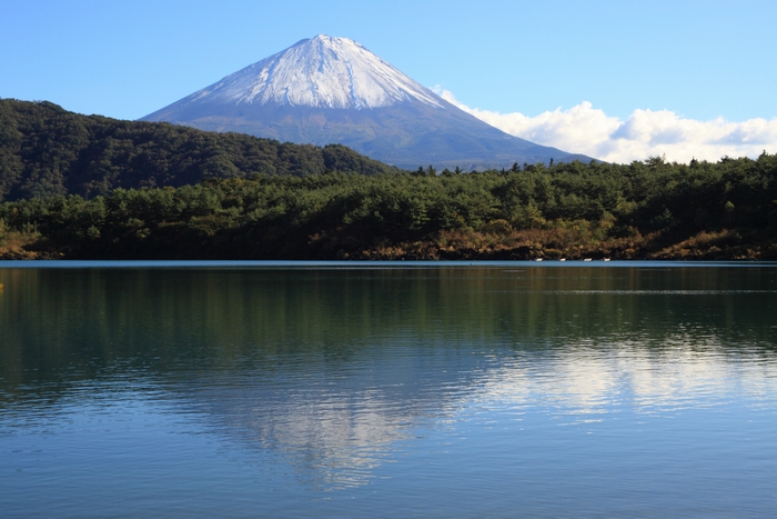 c0146510_1318146.jpg