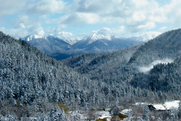 c0153411_2275119.jpg