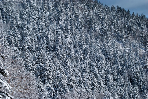 c0153411_2285666.jpg