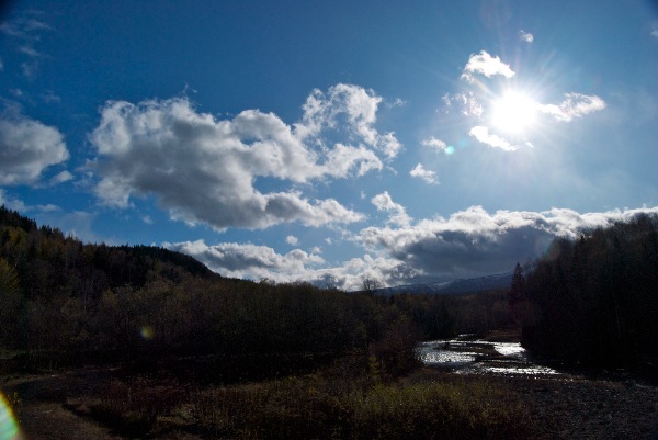 c0153411_2291122.jpg