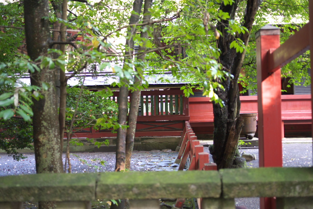 d0143011_20341014.jpg