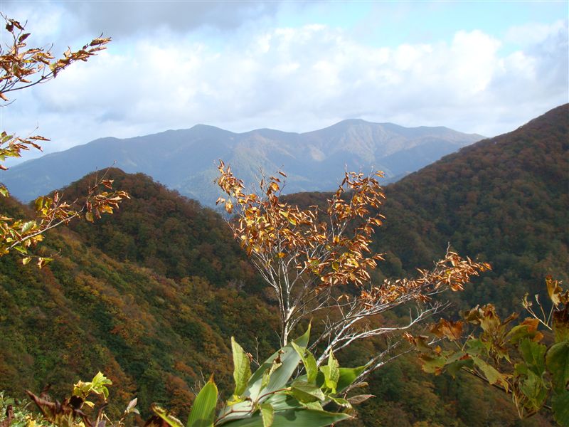 a0127015_20101531.jpg