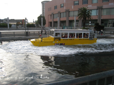c0175715_1126583.jpg