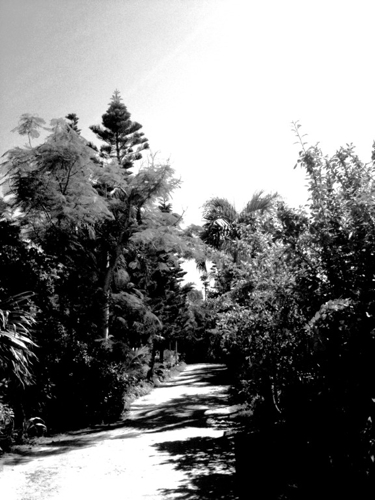 b0188919_19454732.jpg