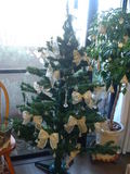 DSCF0005.JPG