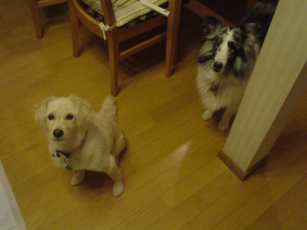 c0150520_1818638.jpg