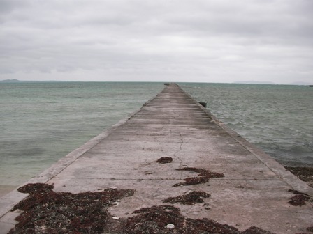 e0146325_23445100.jpg