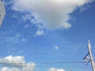 d0005827_0301961.jpg