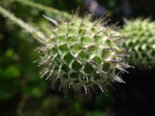 e0016828_21575961.jpg