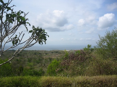 f0162528_10122388.jpg