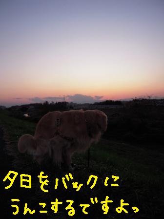 f0176830_21485418.jpg