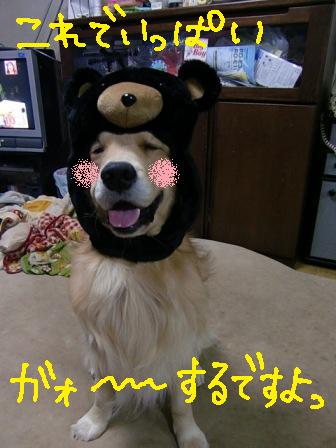 f0176830_21591293.jpg