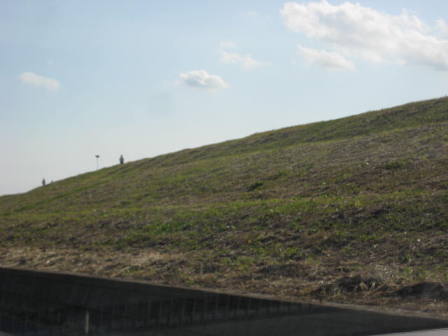 e0166032_7193363.jpg