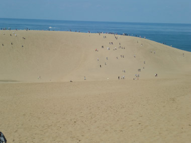 c0165033_859645.jpg