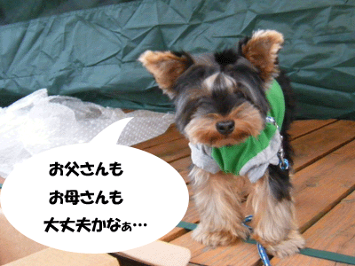 f0008935_1422401.gif
