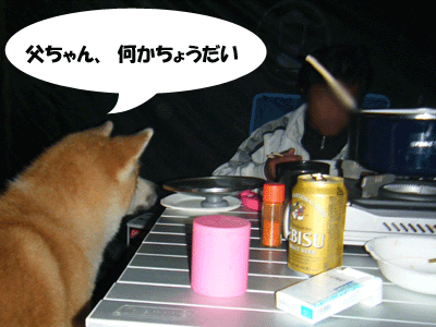 f0008935_1437484.gif