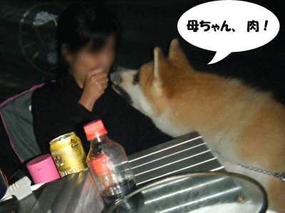 f0008935_143755100.gif