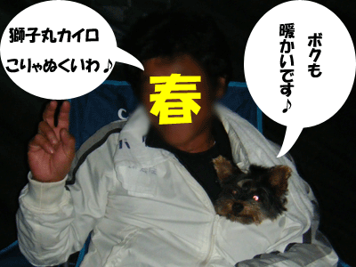 f0008935_14471351.gif