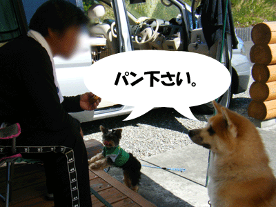 f0008935_15443510.gif