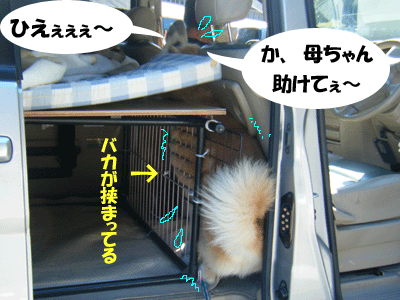 f0008935_15525676.gif
