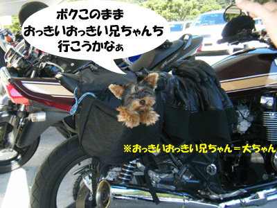 f0008935_15552076.gif