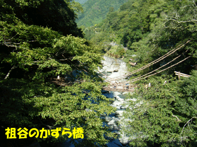 f0008935_15572043.gif