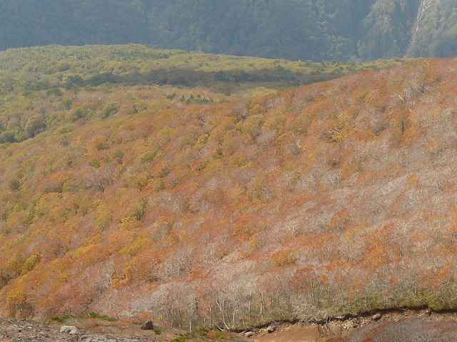 f0003138_15115260.jpg