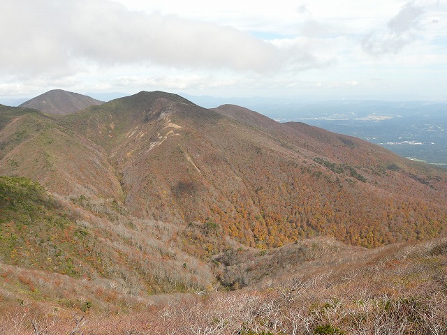 f0003138_1517899.jpg