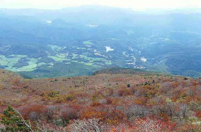 f0003138_15184832.jpg