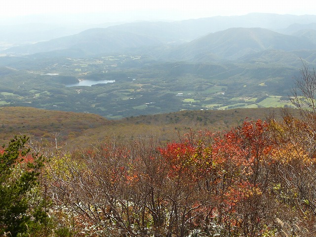 f0003138_1592483.jpg