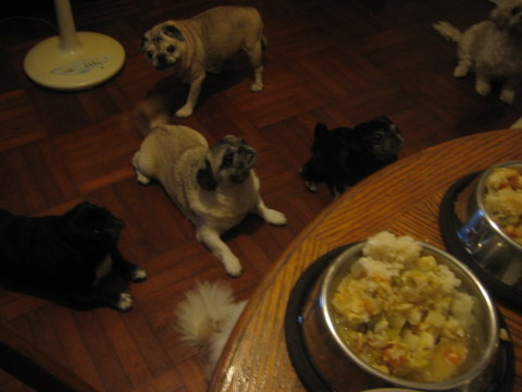 e0018143_1272467.jpg