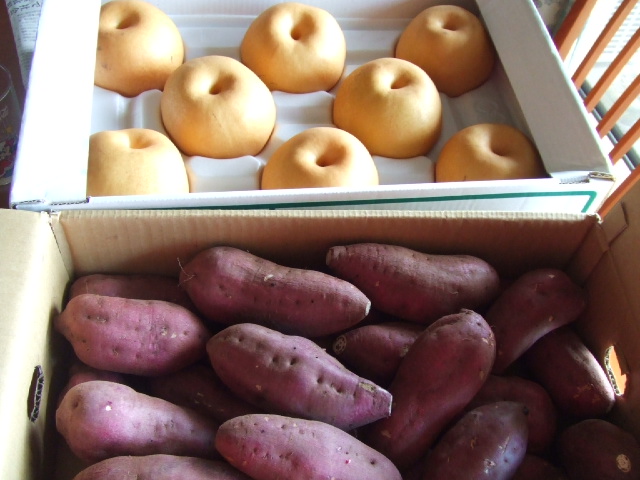 c0071545_2225389.jpg