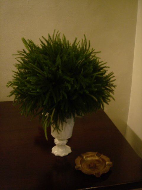 a0121154_167080.jpg