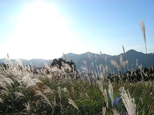 e0044657_22532170.jpg