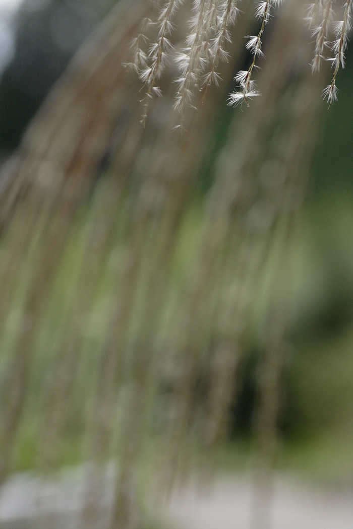 d0148060_1746585.jpg
