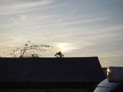 f0036962_22482963.jpg